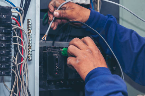 Best Electric Panel Repair  in Stone Ridge, VA
