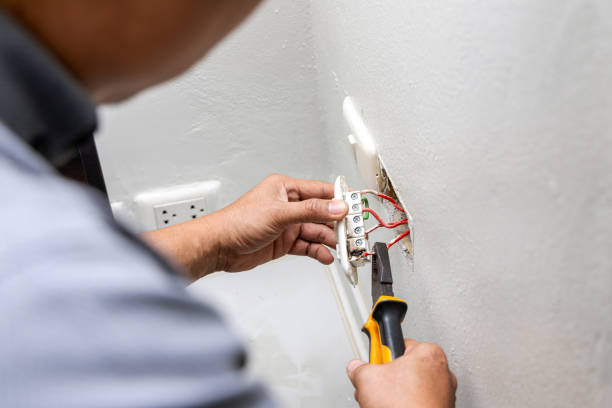 Best Generator Installation Services  in Stone Ridge, VA