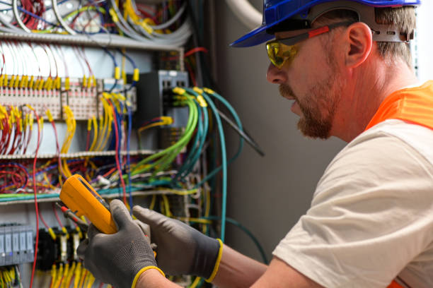 Best Electric Panel Repair  in Stone Ridge, VA